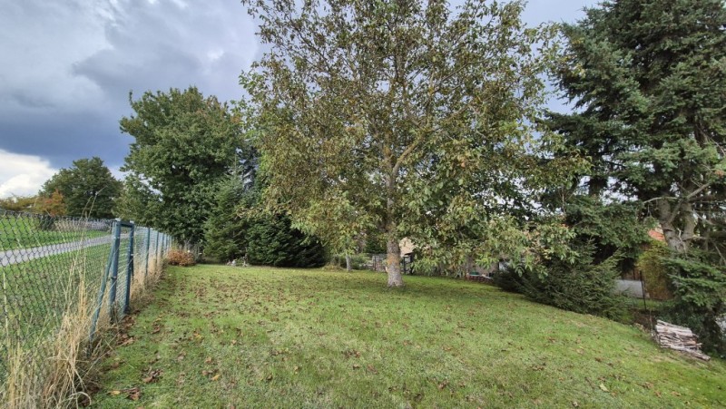 Zufahrt Garten von oben