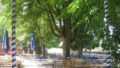 Biergarten hinein