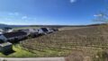 Ausblick über die Weinberge