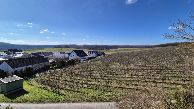 Ausblick über die Weinberge